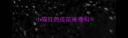 小猫打的疫苗能换吗