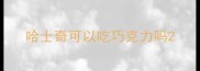哈士奇可以吃巧克力吗