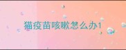 猫疫苗咳嗽怎么办