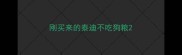 刚买来的泰迪不吃狗粮