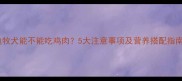 边牧犬能不能吃鸡肉5大注意事项及营养搭配指南
