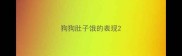 狗狗肚子饿的表现