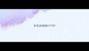 长毛吉娃娃6个月