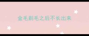 金毛剃毛之后不长出来