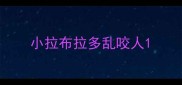 小拉布拉多乱咬人