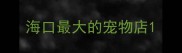 海口最大的宠物店