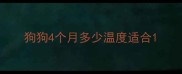 狗狗4个月多少温度适合