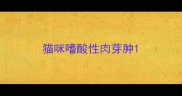 猫咪嗜酸性肉芽肿