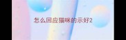 怎么回应猫咪的示好