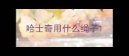 哈士奇用什么绳子