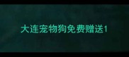 大连宠物狗免费赠送