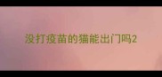 没打疫苗的猫能出门吗