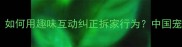 哈士奇训练对话实录如何用趣味互动纠正拆家行为中国宠物协会认证养护指南