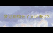 梦见狗狗丢了又回来了
