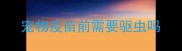 宠物疫苗前需要驱虫吗