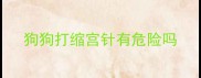 狗狗打缩宫针有危险吗