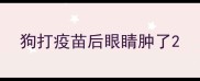 狗打疫苗后眼睛肿了