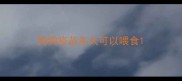 狗狗疫苗多久可以喂食
