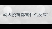 幼犬疫苗都管什么反应