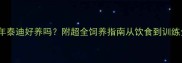成年泰迪好养吗附超全饲养指南从饮食到训练全