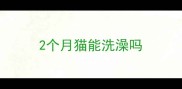 2个月猫能洗澡吗