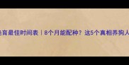 母狗绝育最佳时间表8个月能配种这5个真相养狗人必看