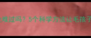 泰迪犬在家会难过吗5个科学方法让毛孩子安心独处全