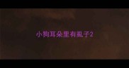 小狗耳朵里有虱子