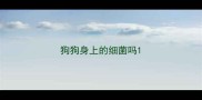 狗狗身上的细菌吗