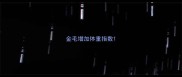 金毛增加体重指数