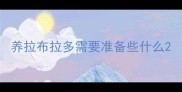 养拉布拉多需要准备些什么