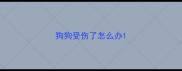 狗狗受伤了怎么办