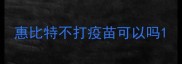 惠比特不打疫苗可以吗
