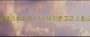 狗狗流脓鼻涕怎么办5大常见原因及专业应对指南