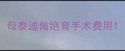 母泰迪做绝育手术费用