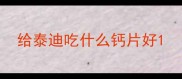 给泰迪吃什么钙片好