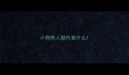 小狗抱人腿代表什么