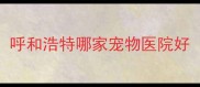 呼和浩特哪家宠物医院好