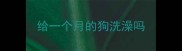 给一个月的狗洗澡吗