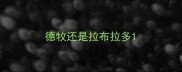 德牧还是拉布拉多