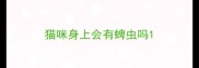 猫咪身上会有蜱虫吗