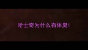 哈士奇为什么有体臭