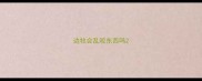 边牧会乱咬东西吗
