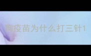 狗疫苗为什么打三针