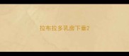 拉布拉多乳房下垂