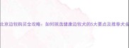 北京边牧购买全攻略如何挑选健康边牧犬的5大要点及推荐犬舍