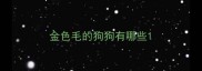 金色毛的狗狗有哪些