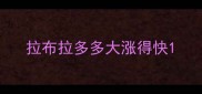 拉布拉多多大涨得快