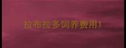 拉布拉多饲养费用