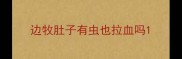 边牧肚子有虫也拉血吗